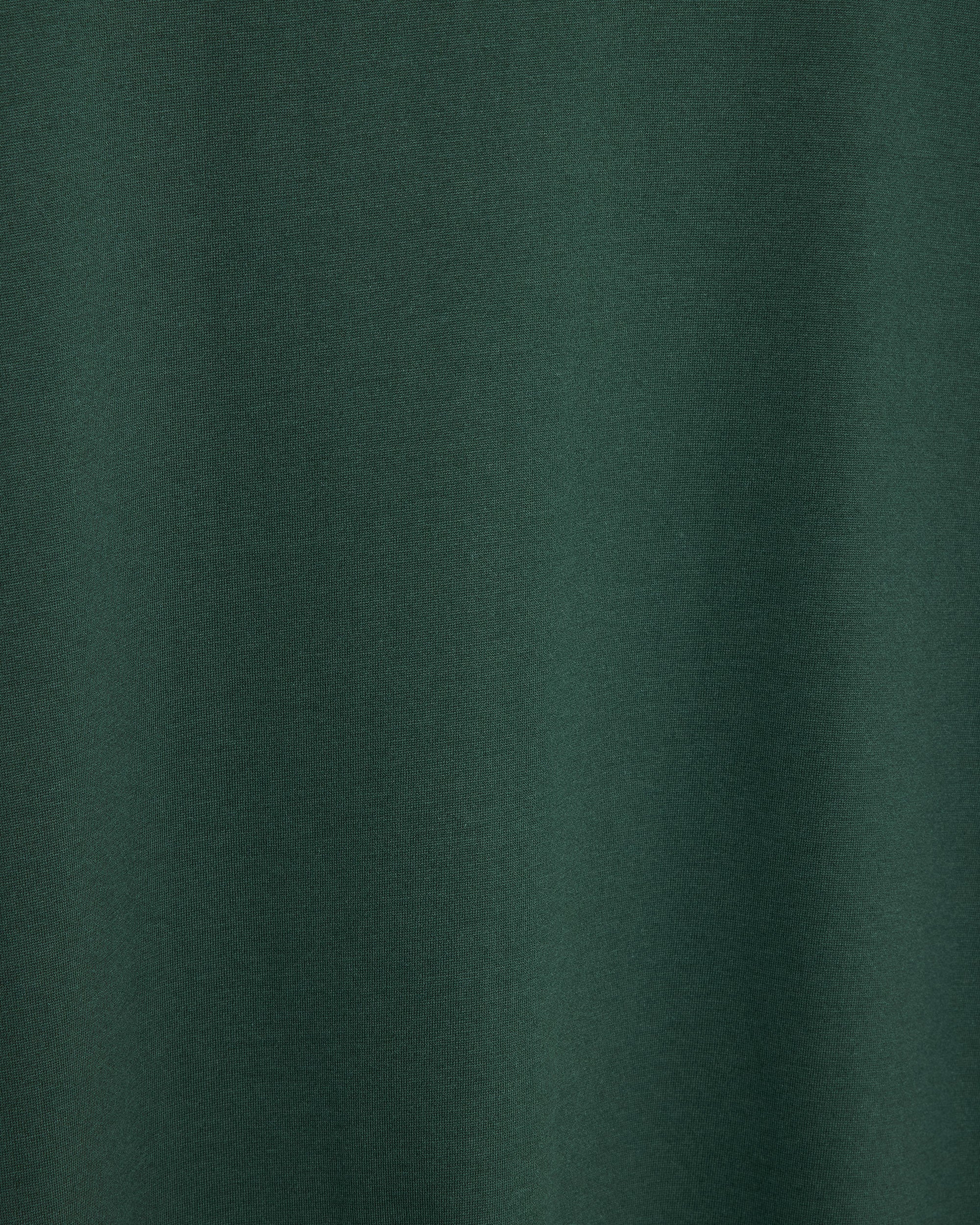 オーガニックGIZA70/2天竺 / レギュラーフィットTee, Dark Slate Green
