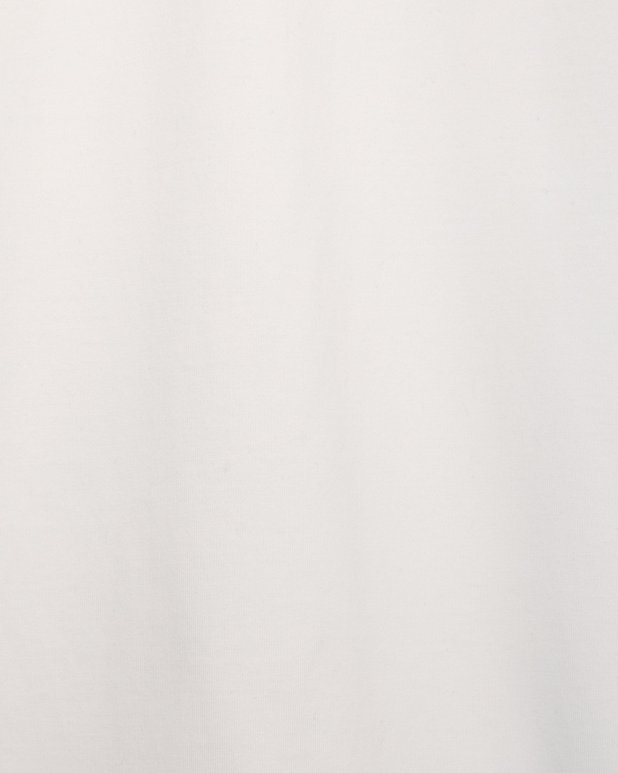 Organic Giza 60/3 Jersey Survival Cloth / Regular Fit Tee, White